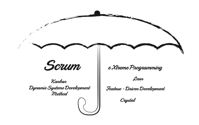 Chiếc ô Agile - Nguồn: Agile Y
