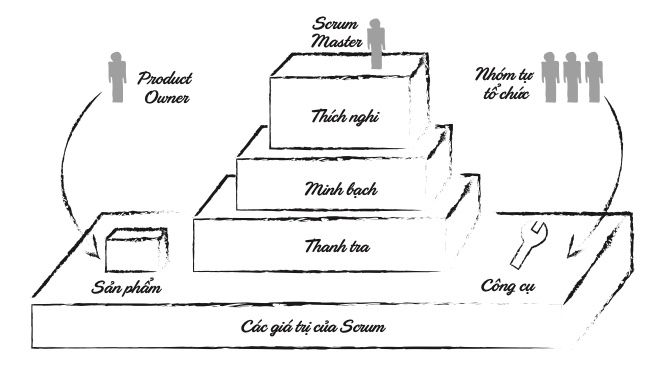 Các giá trị của Scrum - Nguồn: Agile Y