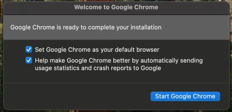 disable web security