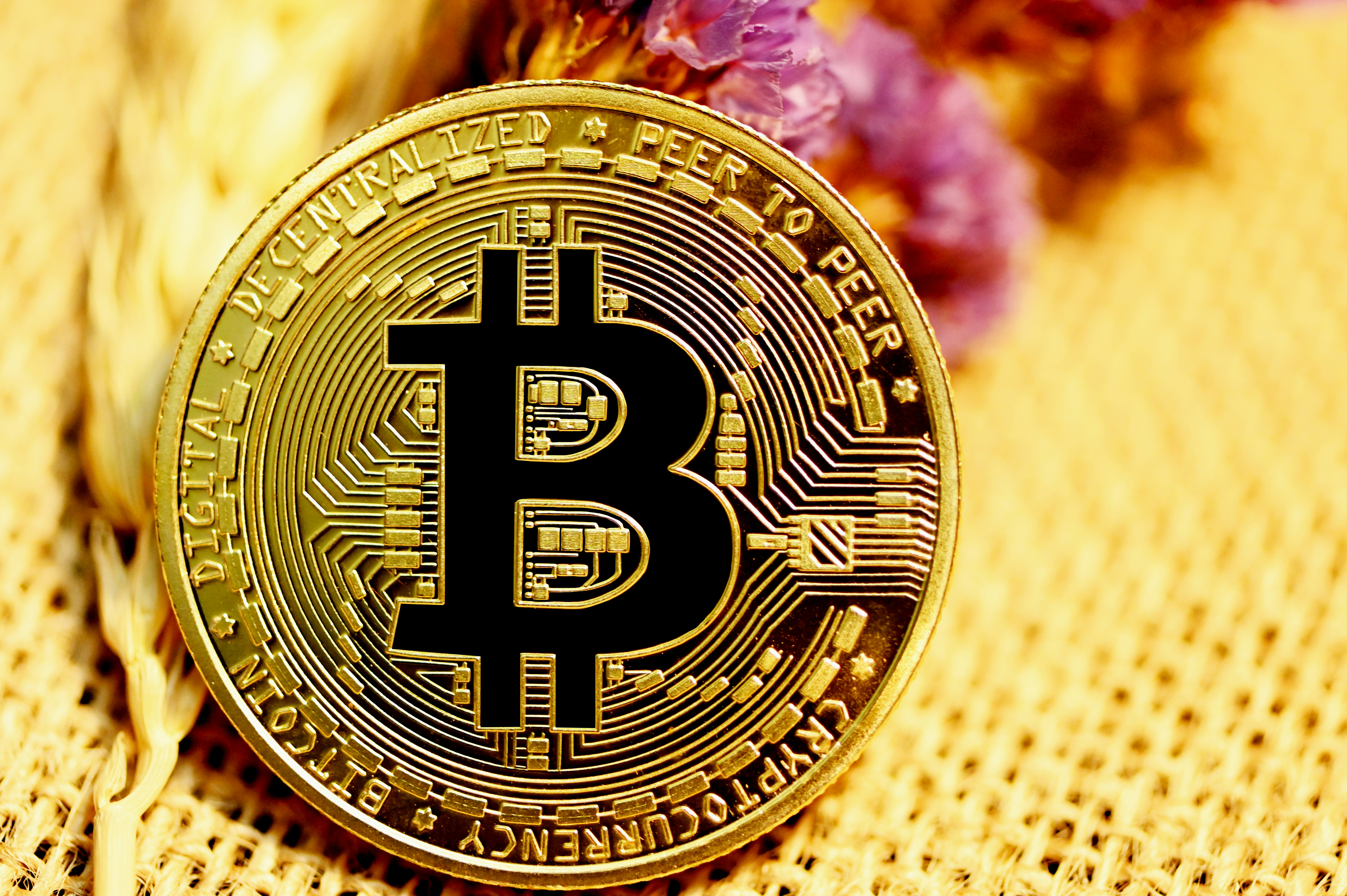 Ví Bitcoin